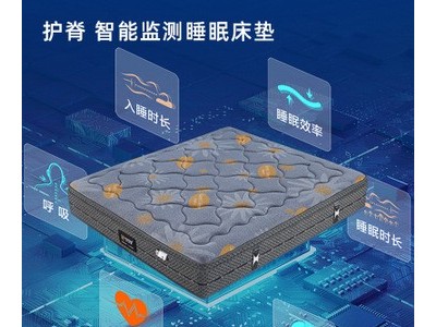 智能监测睡眠护脊席梦思床垫德国3D空气弹簧可定制工厂直销批发价图2