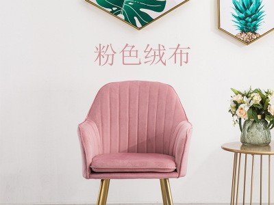 北欧轻奢设计师餐椅网红椅子铁艺家用美甲桌椅靠背咖啡厅单人沙发图5