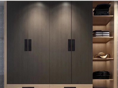全铝家具铝合金衣柜定制 板式整体新材料现代简约储衣物间组合图4