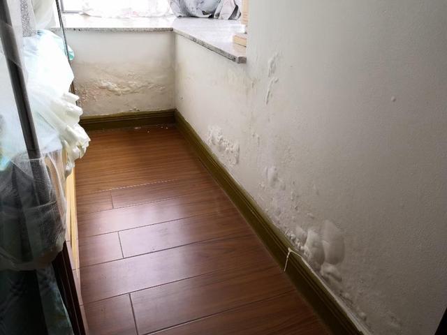 墙面泛碱 墙面泛碱