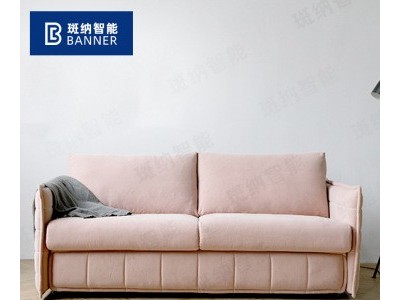 工厂直供多功能公寓沙发床布艺三人客厅沙发布艺小户型推拉床定做图2