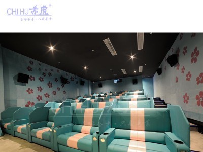 影院沙发座椅厂家 影院情侣厅座椅 咖啡厅情侣卡座顺德厂家直销图2