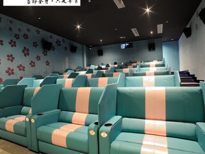 影院沙发座椅厂家 影院情侣厅座椅 咖啡厅情侣卡座顺德厂家直销图3