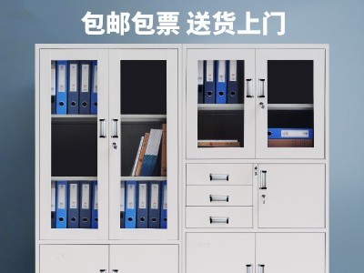 厂家直供办公文件柜铁皮柜钢制带锁会计凭证柜档案资料柜矮柜定做图2