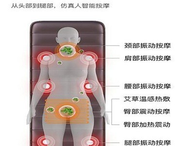 多功能按摩垫 电动按摩枕/靠垫/坐垫 多频率按摩垫 沙发垫按摩垫图3