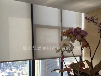 办公室阳光房电动遮阳卷帘升降窗帘 成品定做 手动电动窗帘批发图2