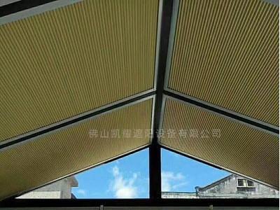 工厂直营阳光房顶棚电动遮阳帘蜂巢帘遮光防晒隔热手动电动天棚帘图3