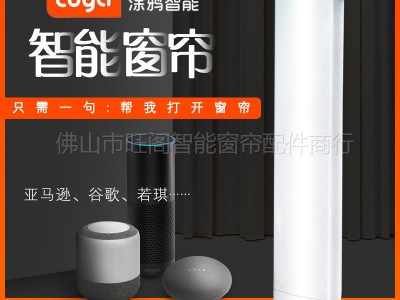 tuya电动窗帘家用涂鸦智能电机wifi可对接小爱小杜若琪googlehome图5