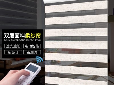ALDOMO电动卷帘遮阳遮光柔纱窗帘自动遥控升降卧室阳台客厅家用图5