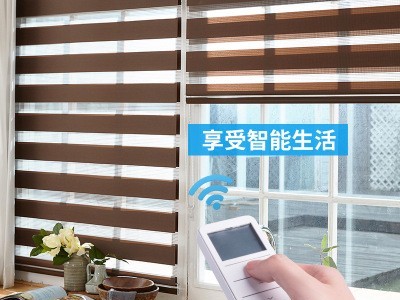 ALDOMO电动卷帘遮阳遮光柔纱窗帘自动遥控升降卧室阳台客厅家用图3