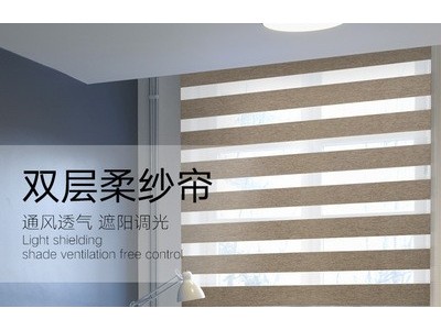 宁波杜亚 DM25TE 电动柔纱帘 调光柔纱帘 双层加厚柔纱帘图2