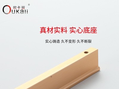 欧卡丽黑色金色橱柜衣柜柜门长拉手 家具五金配件T型把手厂家直销图2