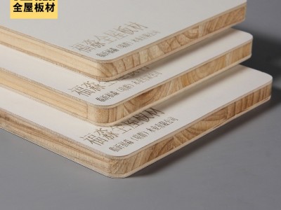 生态板/免漆板 17mm进口马六甲 杉木 家具衣柜橱柜专用批发图5