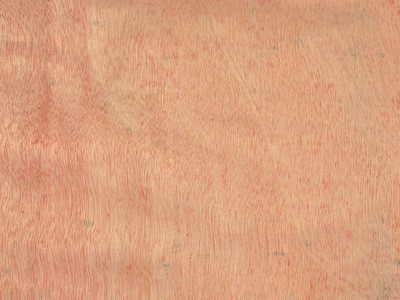 厂家供应细木工板15mm 工程专用板图3
