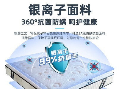 裕乐家用独立袋装弹簧床垫席梦思床垫定制 黄麻乳胶床垫厂家批发图4