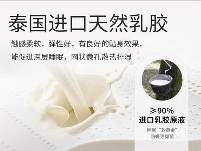 床垫独立弹簧床垫乳胶床垫五星级酒店家用席梦思椰棕床垫厂家定制图2