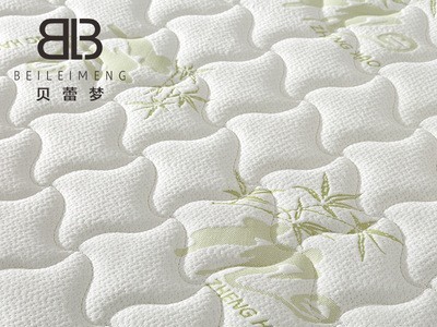 工厂直销3E环保椰棕棕榈弹簧床垫可拆洗凉席软硬两用弹簧床垫图4