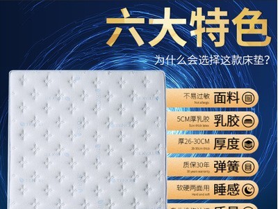 家用1.8米乳胶床垫 双层可拆洗英国天丝床垫 可定制乳胶弹簧床垫图2