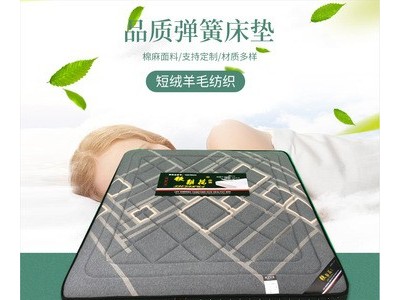 铁梨花弹簧床垫 卧室家具席梦思床垫材质多样 支持定制床垫图5