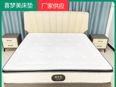 现货供应乳胶床垫 椰棕软硬酒店床垫 宿舍公寓定制乳胶床垫图1