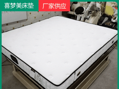 卧室家具弹簧席梦思床垫 多种定制规格 酒店公寓宾馆用弹簧床垫图1