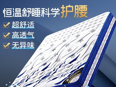 3D双人床垫软硬适中透气1.5米1.8米家用席梦思独立弹簧可定制厂家图1