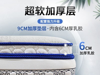 高档五星级酒店乳胶床垫1.5米超软加厚1.8米席梦思独立弹簧床垫厂图4