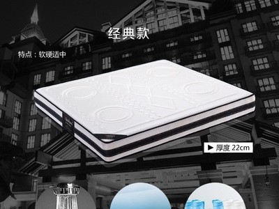 酒店床垫独立袋装弹簧乳胶床垫 学校宿舍租房棕垫软硬两用图4