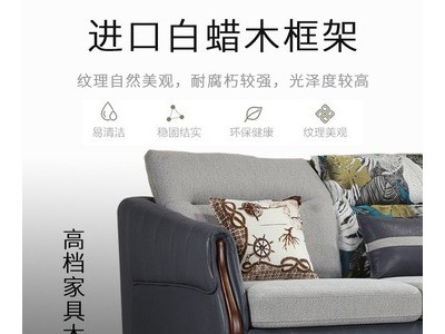 定制北欧风格沙发小户型客厅简约现代三人位组合免洗科技布艺沙发图1
