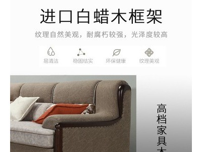 定制北欧风格沙发小户型客厅简约现代三人位组合免洗科技布艺沙发图1