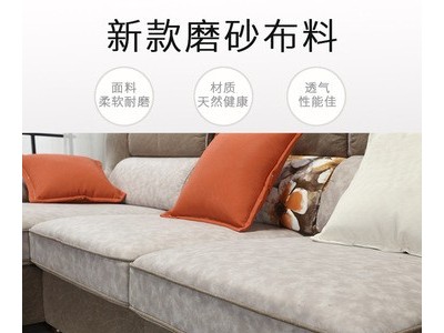 定制北欧风格沙发小户型客厅简约现代三人位组合免洗科技布艺沙发图2