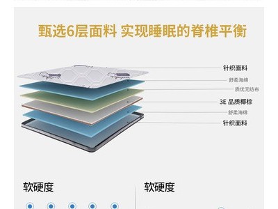 厂家加工定制3E椰棕床垫量大从优图2