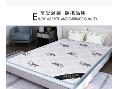 厂家加工定制3E椰棕床垫量大从优图4