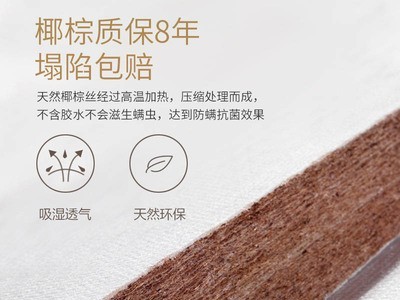 棕垫床垫椰棕宿舍乳胶床垫薄棕榈垫可定制榻榻米床垫折叠儿童批发图3