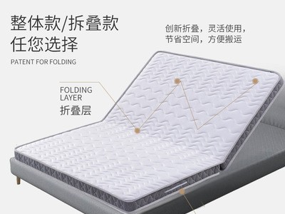 棕垫床垫椰棕宿舍乳胶床垫薄棕榈垫可定制榻榻米床垫折叠儿童批发图2