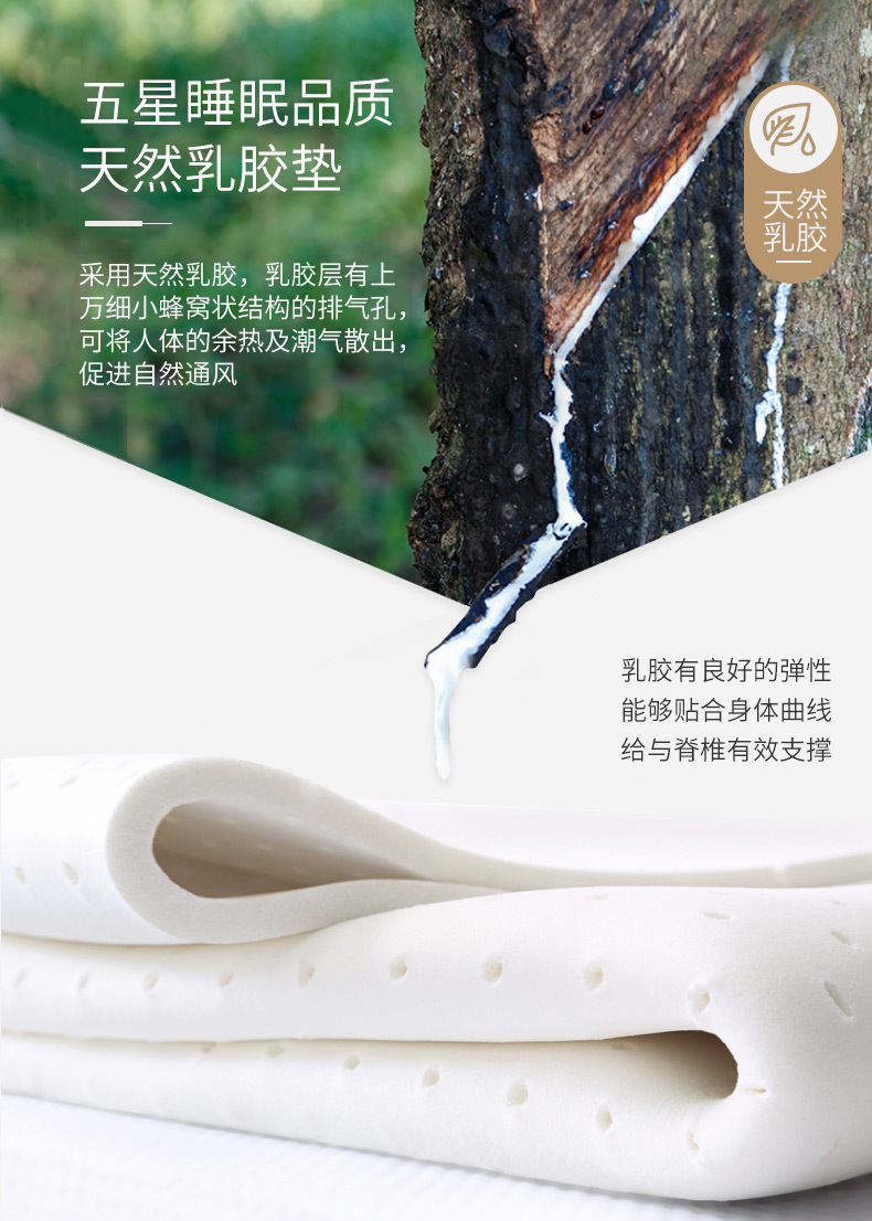 豆蔻年华_07.jpg