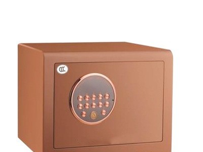 烤漆鑫堡系列保险柜 家用小型指纹保险柜密码锁 酒店密码保险箱图5