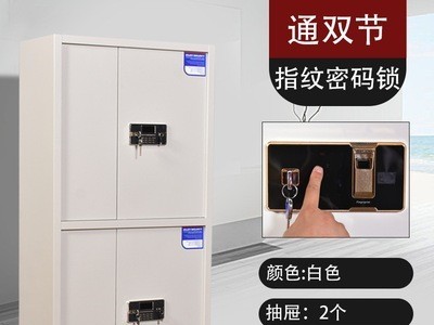 钢制文件柜铁皮柜财务资料储物柜 办公柜子矮柜带锁密码柜保密柜图4