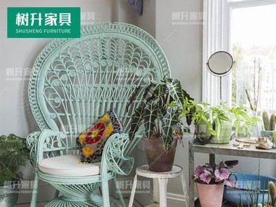 户外休闲孔雀椅藤编室外庭院花园阳台露台大堂样板房创意家具桌椅图2