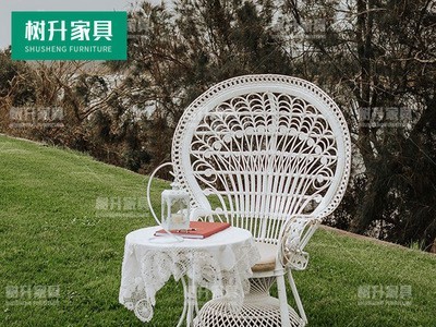 户外休闲孔雀椅藤编室外庭院花园阳台露台大堂样板房创意家具桌椅图4