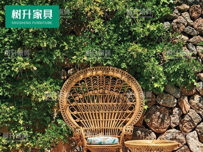 户外休闲孔雀椅藤编室外庭院花园阳台露台大堂样板房创意家具桌椅图3
