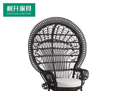 户外休闲孔雀椅藤编室外庭院花园阳台露台大堂样板房创意家具桌椅图5