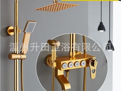 卫生间家用洗澡增压淋浴器沐浴喷头四档妇洗智能恒温花洒套装黑金图5