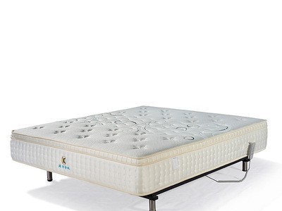 ZN001-B后移式电动床 功能床 智能升降电动床垫 康彩电动床架图2