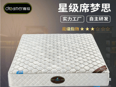 厂家直销高猛碳钢床网弹簧床垫 席梦思折叠垫子支持定制图2