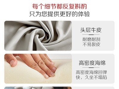 椅之皇 厂家直供现代简约真皮沙发客厅组合头等太空舱小户型沙发图3