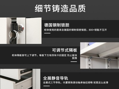 厂家加厚钢制办公文件柜铁皮储物柜子资料档案凭证柜带锁收纳矮柜图2
