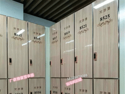 金属腐花铝皮门软包硬包木质基材更衣柜浴室汗蒸体育健身储物柜图3