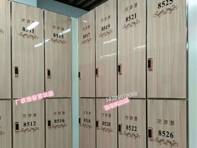 金属腐花铝皮门软包硬包木质基材更衣柜浴室汗蒸体育健身储物柜图4