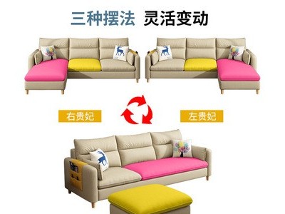 布艺沙发小户型北欧风约现代客厅组合三人位四人贵妃转角厂家批发图5